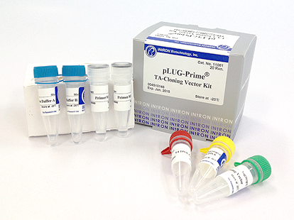 pLUG Prime TA Cloning Kit_1